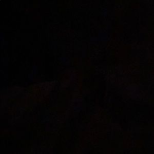 Meet your Posher, Destiny